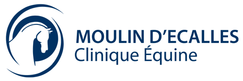 Clinique Moulin d'Ecalles